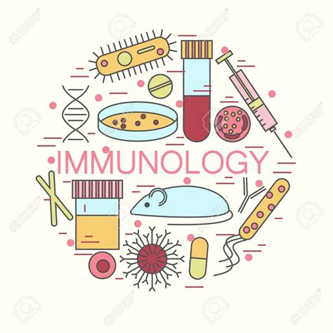 Immunology Artwork Medical Illustration And Drawings