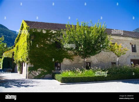 Climbing Plants On The Ancient Building Of The Abbey Of Novacella In