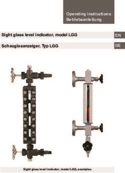 Sight Glass Level Indicator Model LGG Schauglasanzeiger Typ LGG WIKA