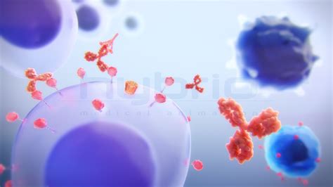 Look And Feel For Targeted Mab Moa Hybrid Medical Animation