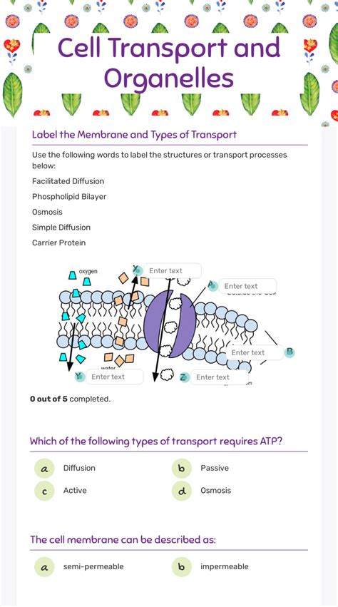 Cellular Transport Worksheet Answer Key