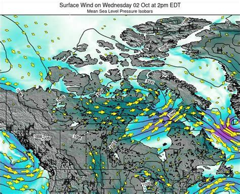Canada Surface Wind on Monday 23 Nov at 7pm EST