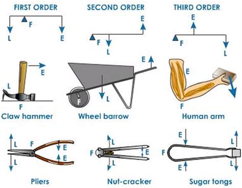 First Second And Third Class Levers