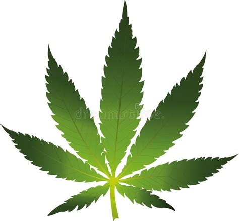 Cannabis Leaf Icon Isolated Stock Vector Illustration Of Drug Nature