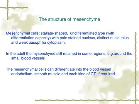 PPT - Histology PowerPoint Presentation, free download - ID:9373602