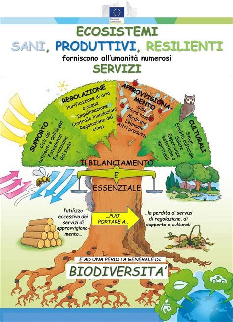 Il Capitale Naturale Un Patrimonio A Rischio Da Proteggere E Valorizzare