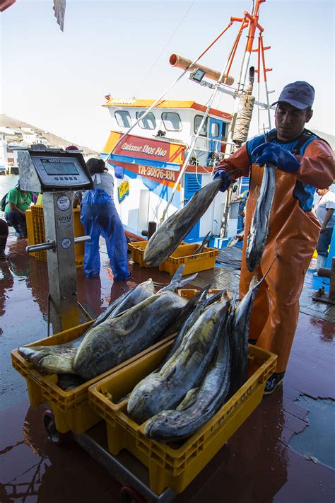 Peru Mahi Alliance Logra Importante Avance En La Sostenibilidad De La