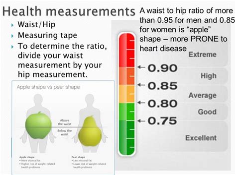 Health Calc: Waist to Hip Ratio