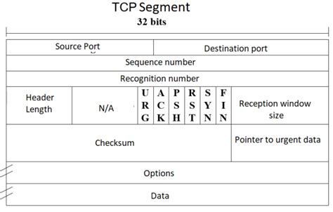 Structure Of A Tcp Segment Below Is A Brief Description Of The Download Scientific Diagram