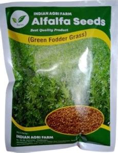 Iagrifarm Alfalfa Lucerne Kuthirai Masal Seeds Pack Of Kg Seed