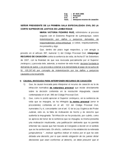 Modelo De Recurso De Casación Juez Caso De Ley