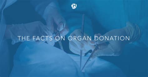 Myths And Facts About Organ Donation Healthy Me Pa