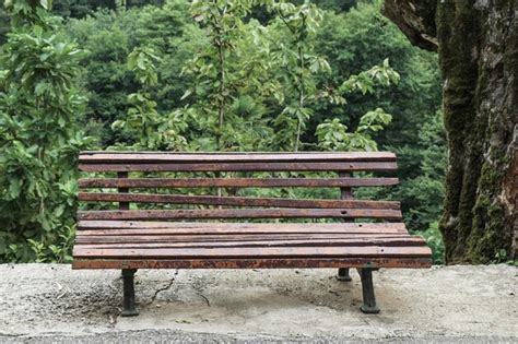 Premium Photo | Wooden park bench at a park