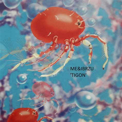 Tigon | Me & Ibrzu | Genetic Trance