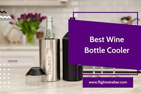 The 10 Best Wine Bottle Cooler In 2022 Reviews And Buying Guide