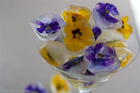 Cubitos De Hielo Con Flores De Flores Comestibles