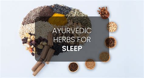 Ayurvedic Herbs For Sleep Krishnas Herbal And Ayurveda