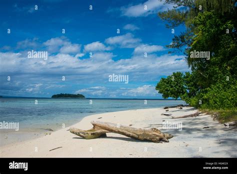 Weihnachten Am Strand Fotos Und Bildmaterial In Hoher Aufl Sung Alamy