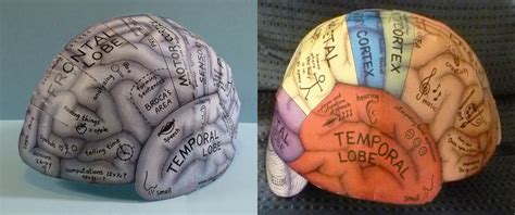 Brain Hemisphere Hat – Ellen McHenry's Basement Workshop