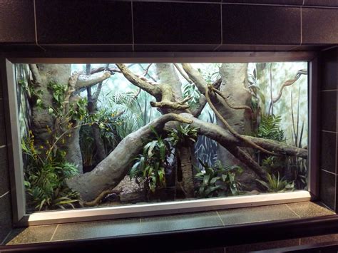 Northern Tree Shrew Exhibit Zoochat