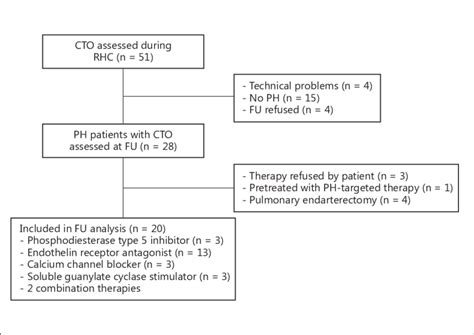 Flow diagram of patients scheduled for RHC included in the study and ...