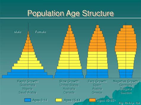 Names Of Age Structure Diagrams Interpret Data Consider The