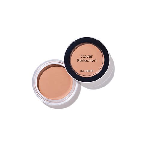 The Saem Cover Perfection Pot Concealer 4g Lazada PH