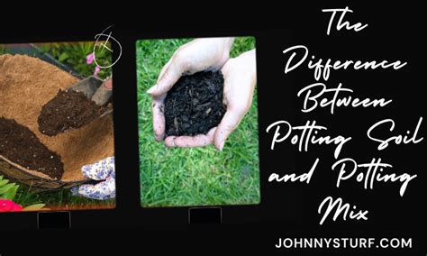 Potting Soil vs. Potting Mix: What’s the Difference? | johnnysturf