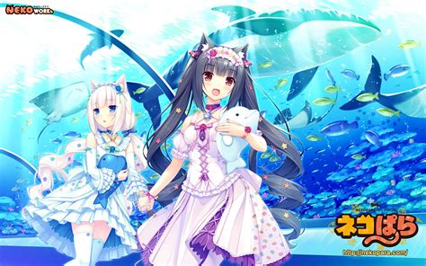 Papel De Parede Para Celular Anime Chocola Nekopara Baunilha