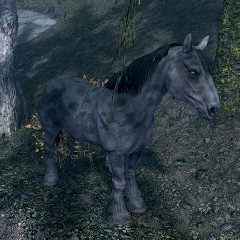 Skyrimhorses The Unofficial Elder Scrolls Pages Uesp