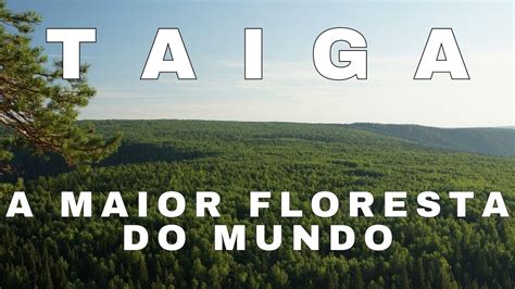 Qual A Maior Floresta Do Mundo - 6