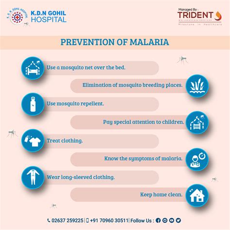 Stay Safe From Malaria