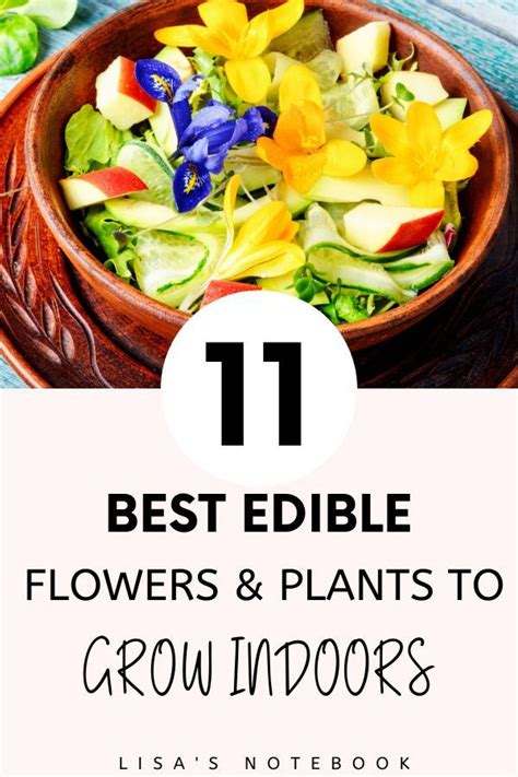 11 Easy And Delicious Edible Plants To Grow Indoors Artofit