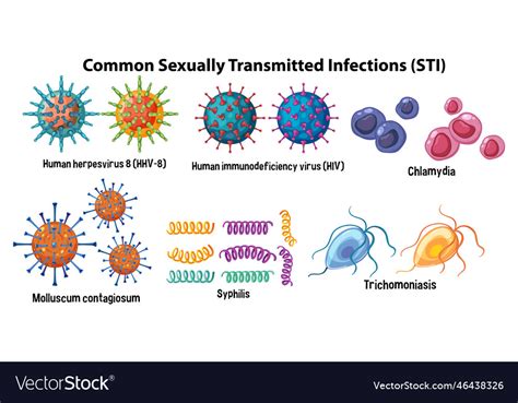 Common Sexually Transmitted Infections Sti Vector Image