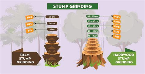 Stump Removal Cost Guide Compare Prices