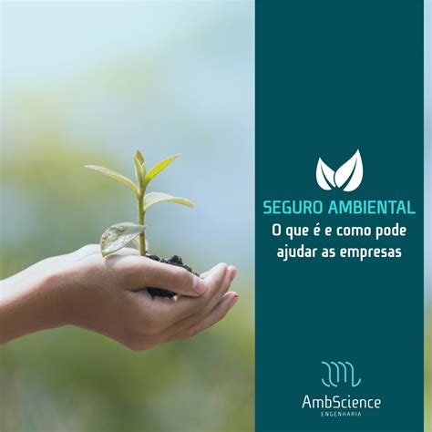 Seguro Ambiental Como Ele Pode Ajudar As Empresas Ambscienceambscience