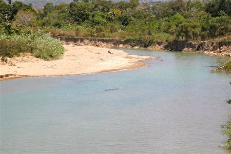 Crocodile Island: jaco island