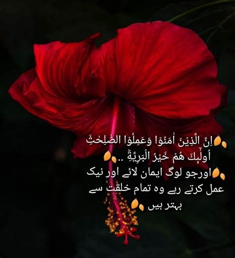 A Red Flower With Arabic Writing On It