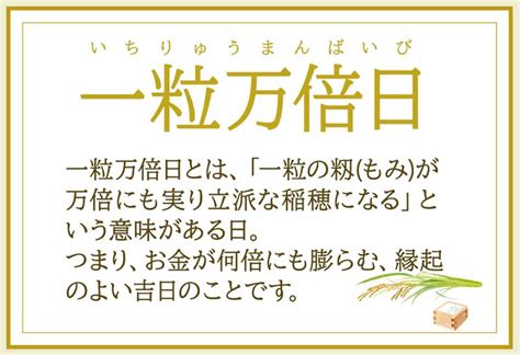 一粒万倍日とは？天赦日と重なる2024・25年の最強開運日はいつ？｜吉日カレンダーと開運日にすると良いことをご紹介 ｜ いとしのクロコ｜知って