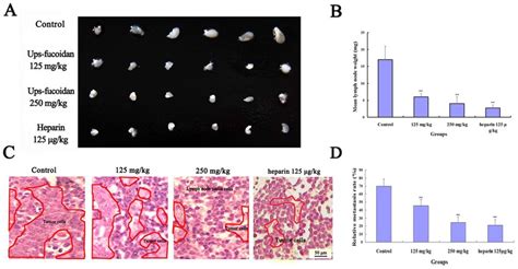 Ups Fucoidan Inhibits Tumor Metastasis To Peripheral Lymph Nodes In