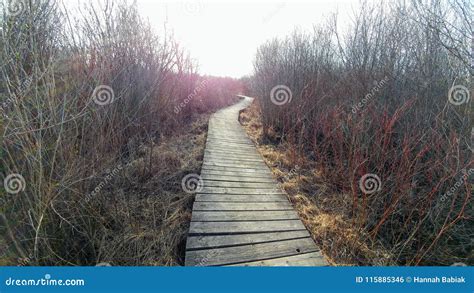 Four Seasons Nature Preserve - Lake Geneva, WI Stock Photo - Image of ...