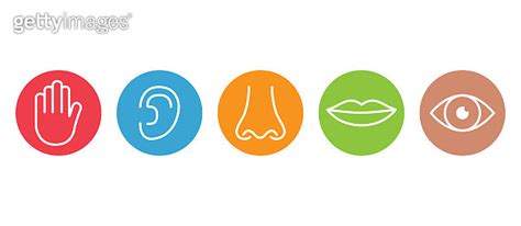 Outline Icon Set Of Five Human Senses Vision Eye Smell Nose Hearing