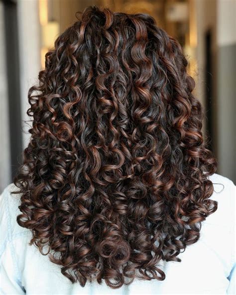 Best Curly Hairstyles To Inspire You Dyed Curly Hair Highlights