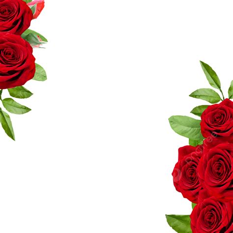 Red Flower Frame Vector Png Images New Red Flower Frame Spring