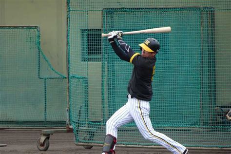 阪神・近本光司、後半戦開幕にも帰ってくる！ 岡田監督が19日1軍練習合流プラン明かす 悪夢逆転負けの虎に朗報（1 2ページ） サンスポ