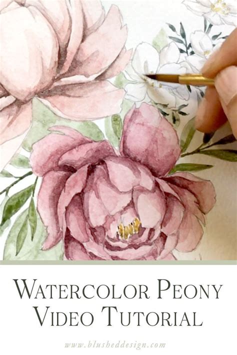 Watercolor Peony Tutorial My Favorite Blending Technique — Katrina Crouch Blushed Design