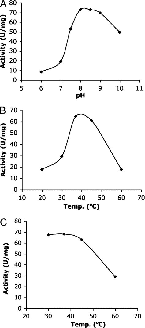 Effect Of Ph On Enzyme Activity Cloudshareinfo