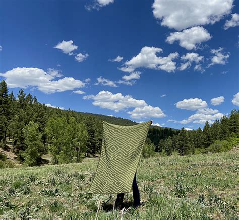 Ravelry Cactus Garden Blanket Pattern By Susan E Kennedy