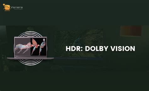 HDR Insights Series - Article 4 - Dolby Vision