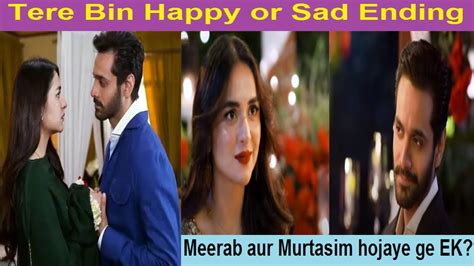 Tere Bin Happy Or Sad Ending Yumnazaidi Wahajali Terebin Warzone